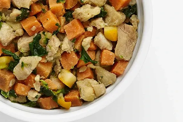 What Makes Healthy Pet Food? | Blog Post