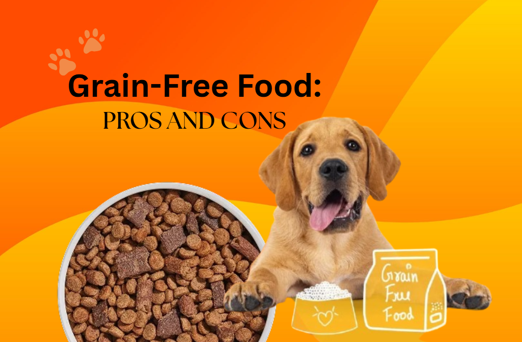 Grain-Free Dog Food: The Pros, Cons, and Science