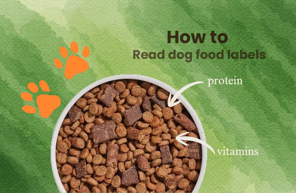 How to Read Pet Food Labels