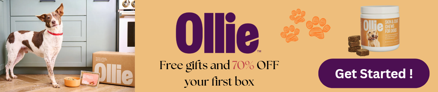 Ollie Fresh Dog Food Plan