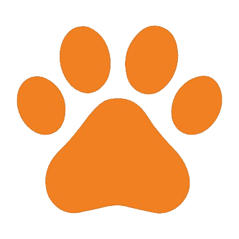icon paws